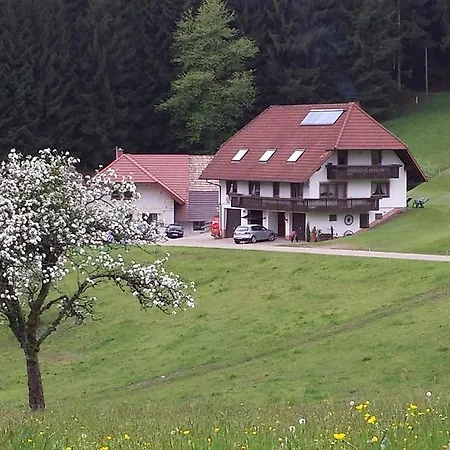 Ferienwohnung Ringwald Biederbach Baden-Württemberg Exterior foto